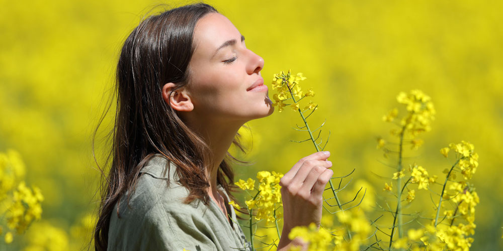 رایحه خنک و دلنواز عطر تابستانی
