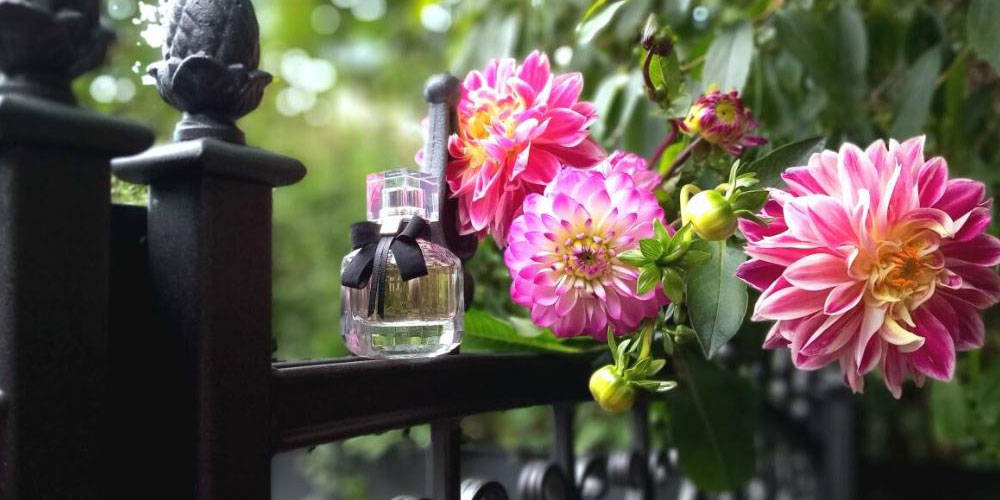 از دل پاریس با عطر مون پاریس