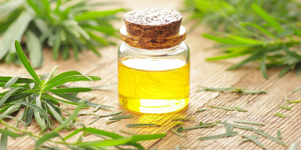 روغن درخت چای