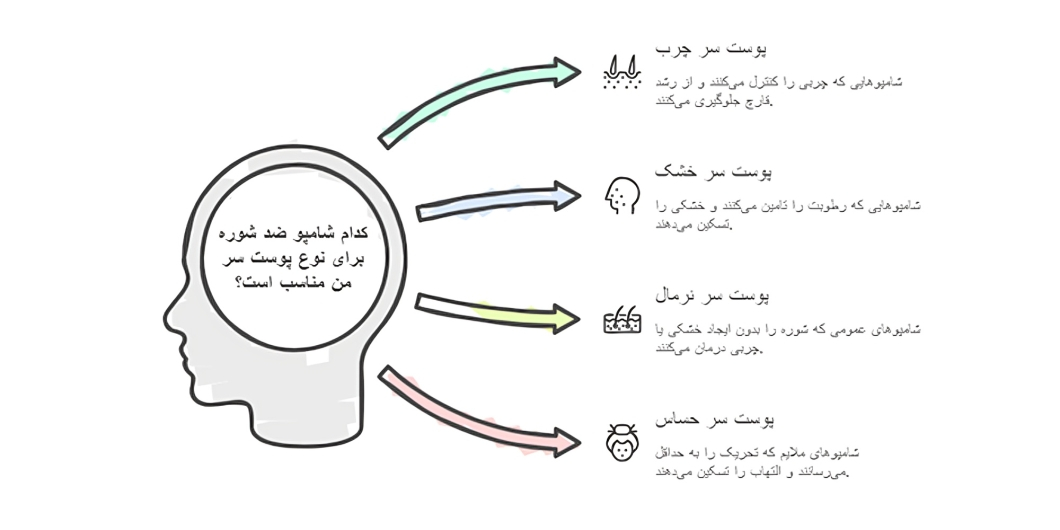 انواع پوست سر و ارتباط آن با شوره و شامپو ضد شوره