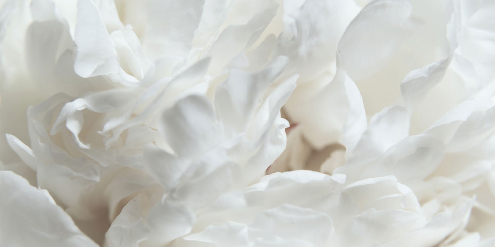 مقایسه Cloud Dancer با رنگ‌های سال‌های گذشته