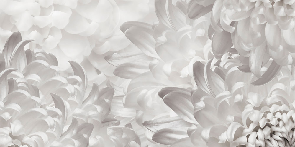 چرا Cloud Dancer رنگی AI-Friendly و آینده‌نگر است؟